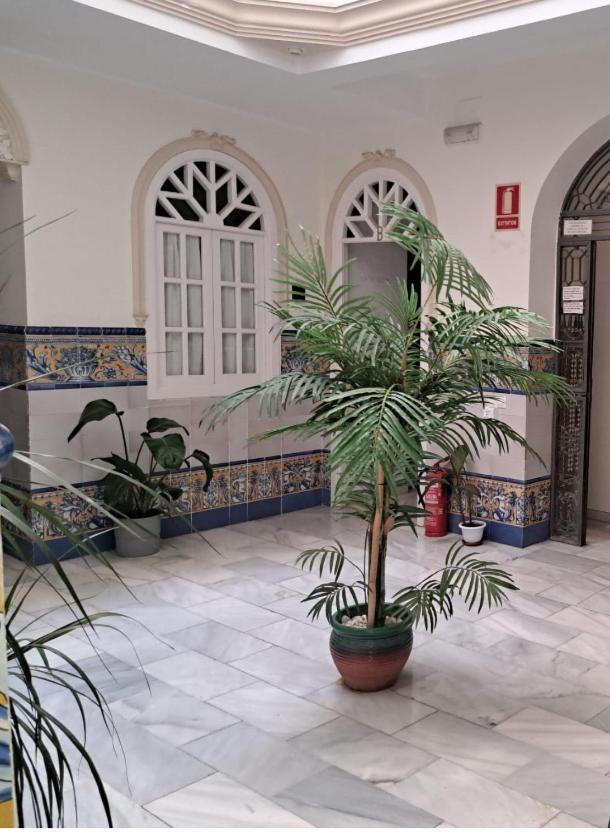 Santillana Terrazas * Seville